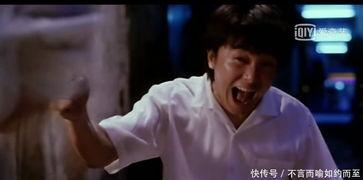 甑子丹个人资料,影视界璀璨的明星之路